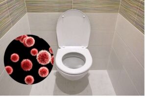 un wc con germi e batteri